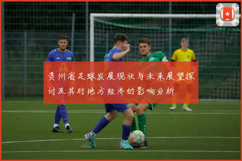 贵州省足球发展现状与未来展望探讨及其对地方经济的影响分析