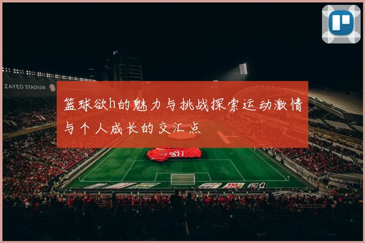 篮球欲h的魅力与挑战探索运动激情与个人成长的交汇点