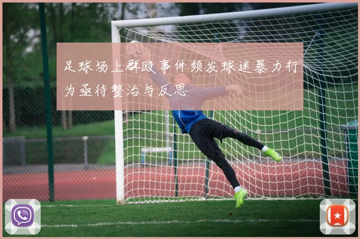 足球场上群殴事件频发球迷暴力行为亟待整治与反思