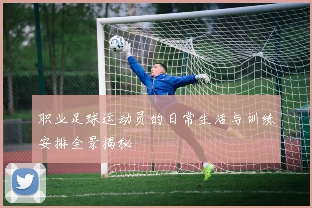 职业足球运动员的日常生活与训练安排全景揭秘