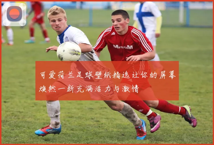 可爱荷兰足球壁纸精选让你的屏幕焕然一新充满活力与激情